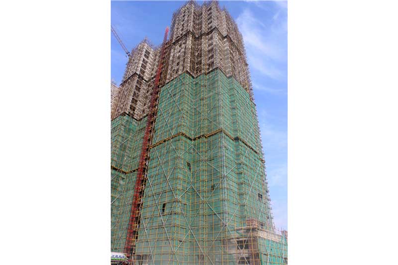 杜橋鎮(zhèn)西岸村公寓式住宅